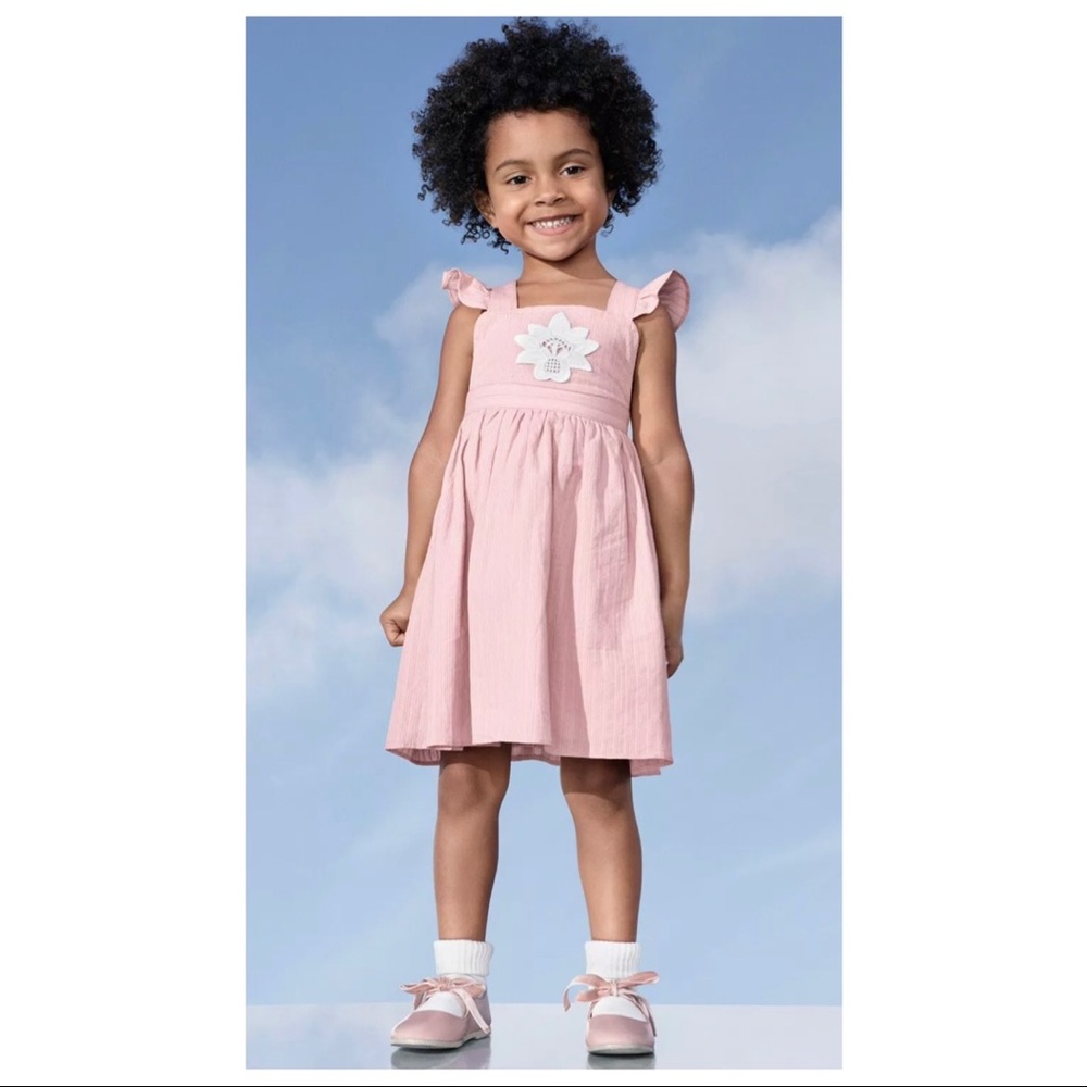 Victoria Beckham for Target Pink Embroidered Dress